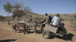 Kalahari Desert's Lost City