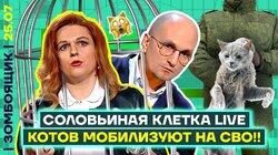 z-гниды кусают z-соловьёвских! | Смотрим 12-часовой телемарафон вербовки