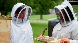 Beehives 101, Step Stool Beehives 101, Step Stool