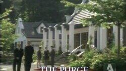 The Purge The Purge
