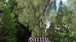 Asylum