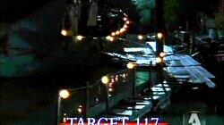 Target 117 Target 117