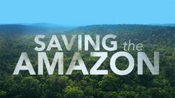 Saving the Amazon Saving the Amazon