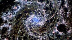 Webb of Life Webb of Life