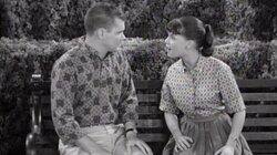 The Bitter Feud of Dobie and Maynard The Bitter Feud of Dobie and Maynard