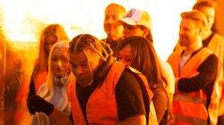 I hønsehuset er det bare plass til én hane