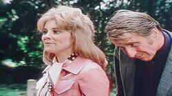 Transatlantic Cousins