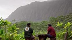 Native Hawaii Native Hawaii