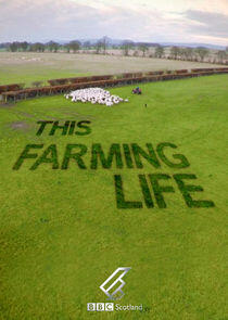 This Farming Life This Farming Life