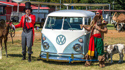 The Shorty Short VW Bus The Shorty Short VW Bus
