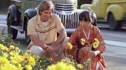 The Americanization of Machiko - August 4, 1953 The Americanization of Machiko - August 4, 1953