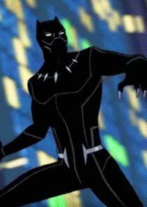 T'Challa / Black Panther T'Challa / Black Panther