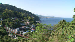 Izu: From Rugged Coastline to Inland Warmth Izu: From Rugged Coastline to Inland Warmth