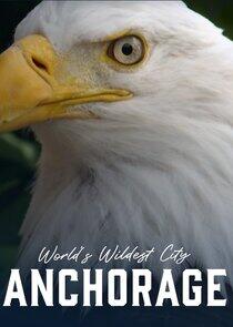 The Wildest City in The World: Anchorage The Wildest City in The World: Anchorage