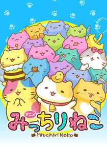 Mitchiri Neko Mitchiri Neko