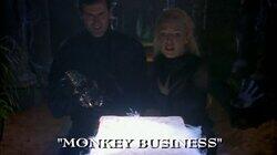 Monkey Business Monkey Business