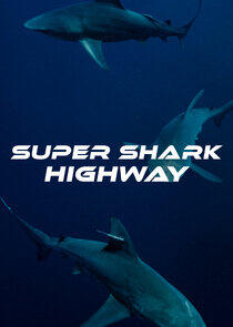 Super Shark Highway Super Shark Highway