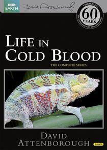 Life in Cold Blood Life in Cold Blood
