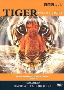 Tiger - Spy in the Jungle Tiger - Spy in the Jungle