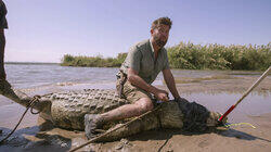 Croc Witchcraft Croc Witchcraft