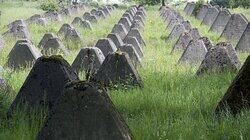 Hitler's Siegfried Line Hitler's Siegfried Line