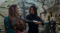 A Sermon of Survival