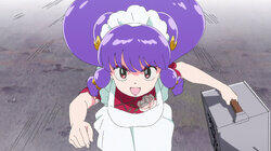 It's Fast or It's Free