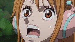 The Lost History - Joyboy, the First Pirate