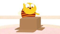 The Box The Box