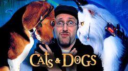 Cats and Dogs Cats and Dogs