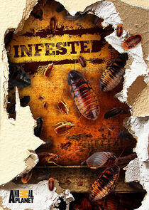 Infested! Infested!