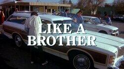 Like a Brother