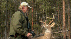 Catching the Antler Thieves