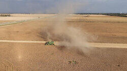 The Family Farm | Collateral Damage | The Indomitable Margaret Atwood