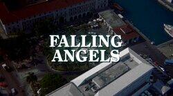 Falling Angels