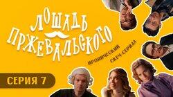 Серия 7 Серия 7