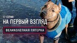 17. На первый взгляд 17. На первый взгляд