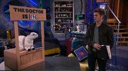 Exit Stage Theft Exit Stage Theft