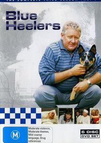 Blue Heelers - Season 3 Blue Heelers - Season 3