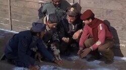 Man's Best Friend is Not His Dog Man's Best Friend is Not His Dog