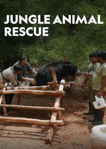 Jungle Animal Rescue Jungle Animal Rescue
