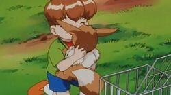 The Battling Eevee Brothers The Battling Eevee Brothers