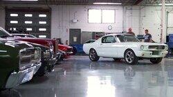A Mustang's Twists and Turns A Mustang's Twists and Turns