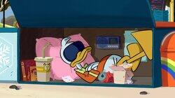Delivery Duck Delivery Duck