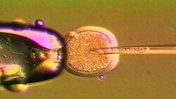 Cloning