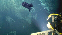 Alien in the Abyss Alien in the Abyss