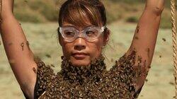 The Bees Are So Angry The Bees Are So Angry