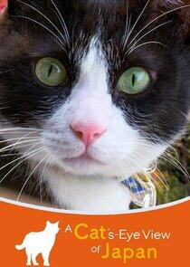 A Cat's-Eye View of Japan A Cat's-Eye View of Japan