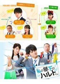 Watashi no buka no Haruto-kun Watashi no buka no Haruto-kun