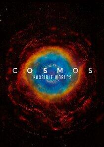 Cosmos Cosmos